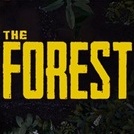 The Forest