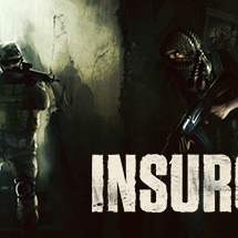 Insurgenry